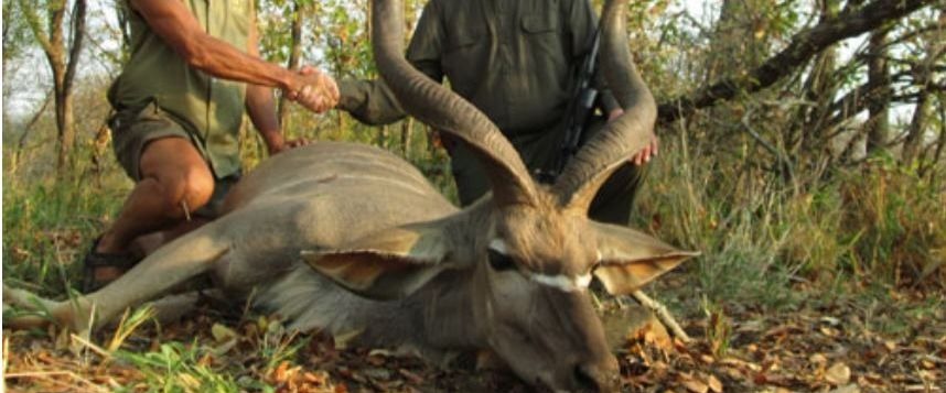 Deux adeptes de safari-chasse se prenant en photo sur une antilope abattue