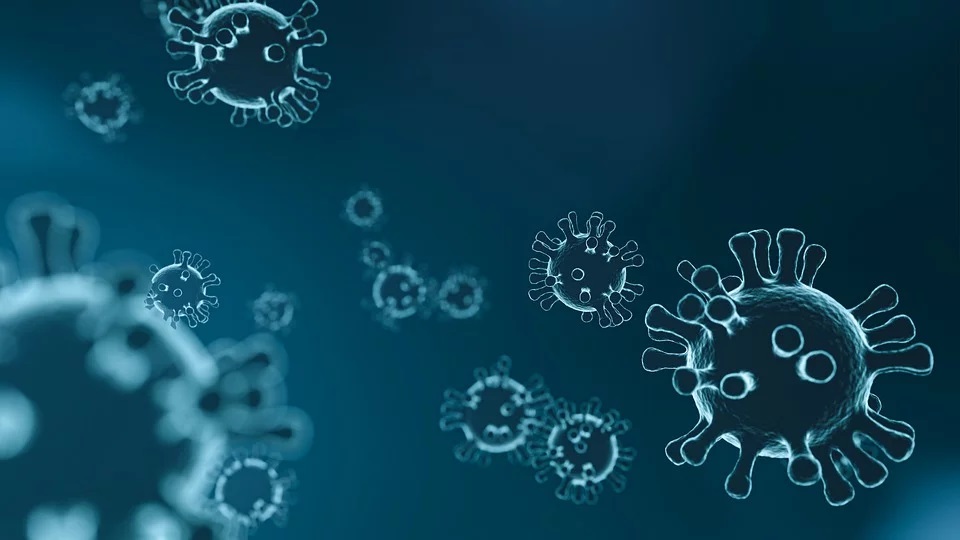 L’apprentissage automatique pourrait accélérer le développement de nouveaux médicaments contre les virus