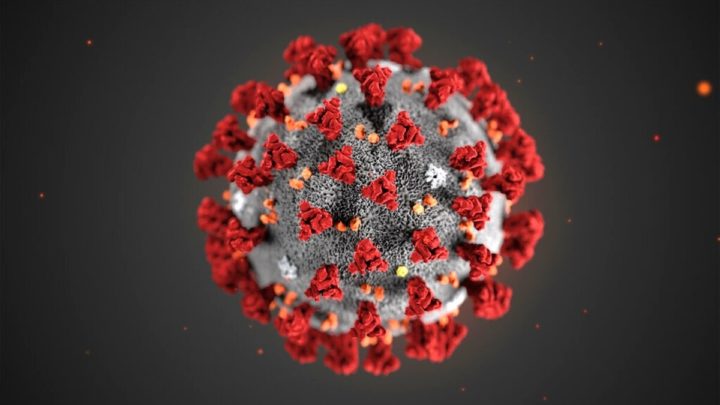 Covid-19 : une IA peut le détecter en quelques secondes