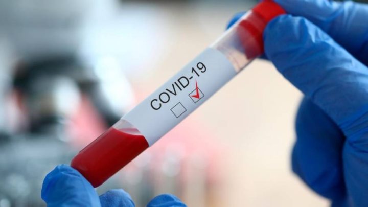 Covid-19 : l’Espagne va se servir de l’IA pour les dépistages