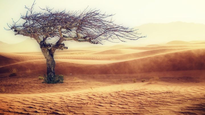 Changement climatique : l’homme ne peut déjà plus survivre à certains endroits dans le monde