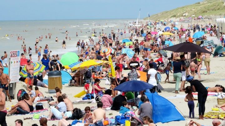 Utilisée sur les plages, cette IA peut sauver des vies