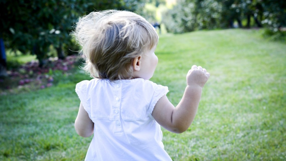 Les enfants éduqués au sein d’espaces verts ont un QI plus élevé