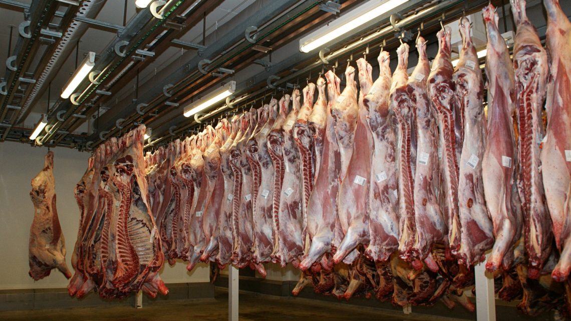 Pandémies : la production massive de viande est néfaste pour les animaux et pour les êtres humains
