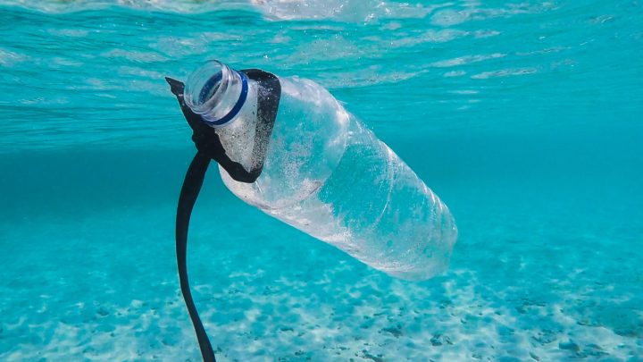 Plus de 14 millions de tonnes de plastique au fond des océans