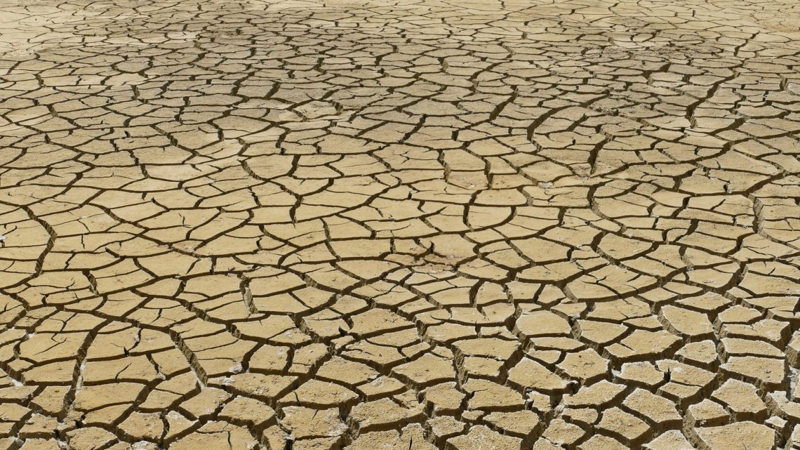 L’IA peut aider à gérer les risques du réchauffement climatique