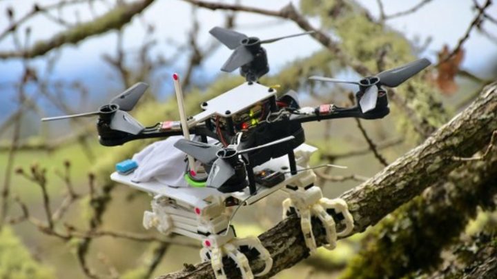 Un robot transportant des objets et se posant sur les branches comme un rapace