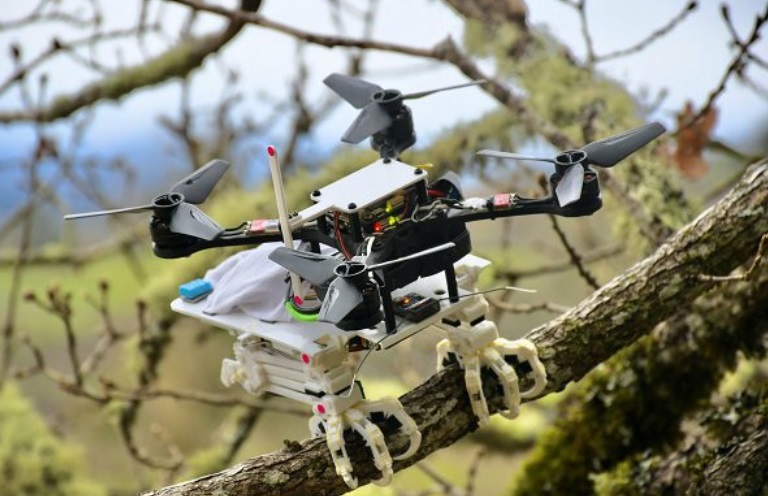 Un robot transportant des objets et se posant sur les branches comme un rapace