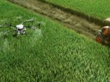 drone-agriculture