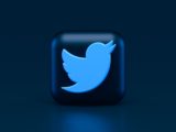 Le petit oiseau bleu, logo de Twitter.