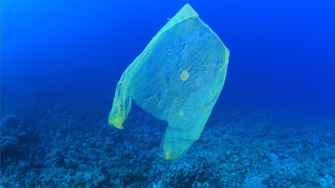 Un robot en forme de poisson pour récolter les déchets