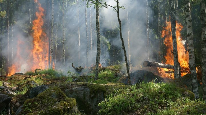 « Notre société technologiquement avancée a choisi de se détruire en s’abstenant d’agir pour éviter une catastrophe climatique »