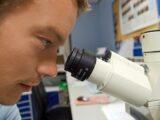 Un jeune laboratin regardant dans un microscope.