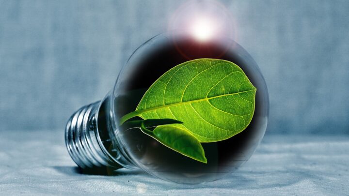 “Industrie Verte” : vers une économie plus durable ?